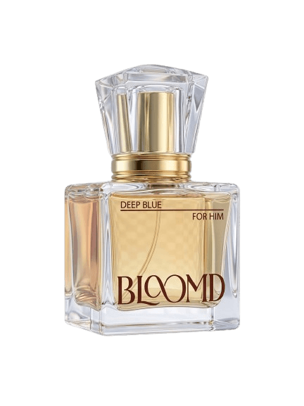 BLOOMD Deep Blue